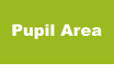 Pupil Area