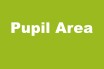 Pupil Area